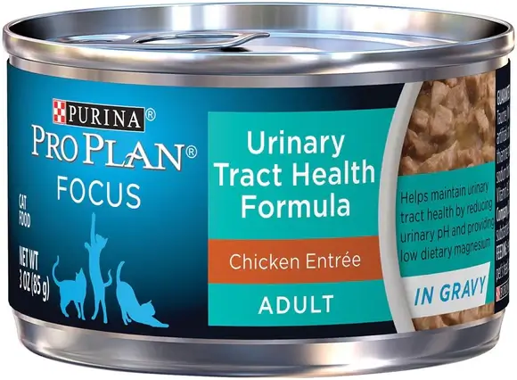 Cat Foot for Urinary Health in a Nutshell