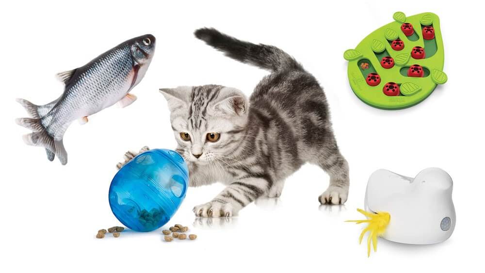 The Best Interactive Cat Toys: How to Engage Your Pet in 2024