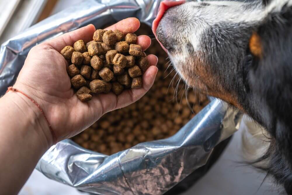 What is Royal Canin Size Health Nutrition Small Adult Formula Dog Food?