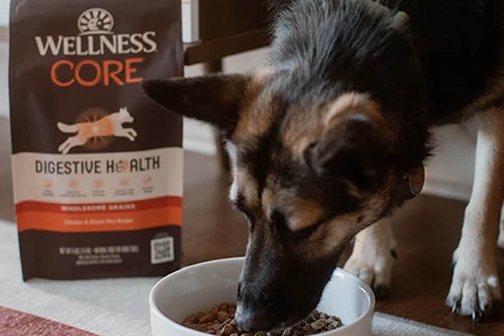 Wellness Complete Health Dry Dog Food?