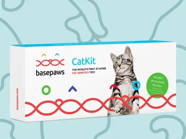 Basepaws cat DNA test