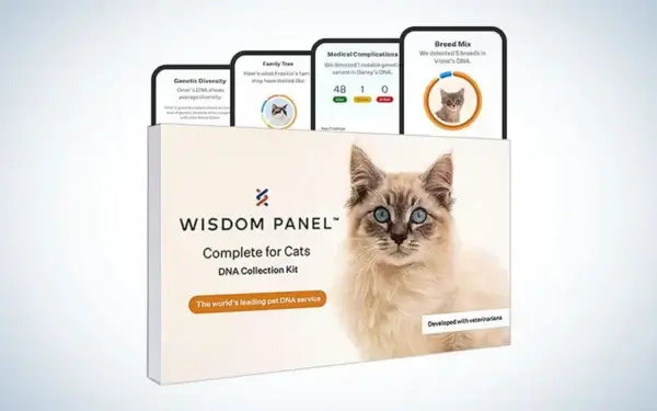 Wisdom panel cat DNA test