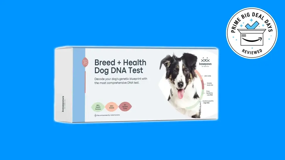 Discovering Reliable DNA Tests: Basepaws Dog DNA Test
