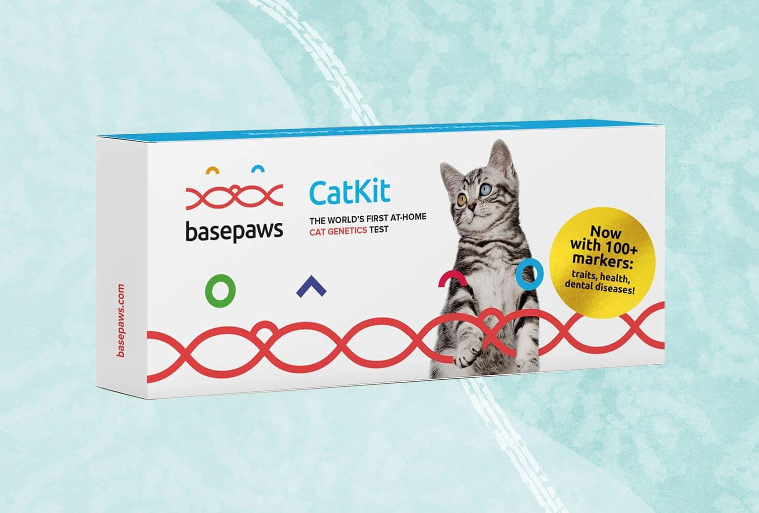 Embark cat DNA test