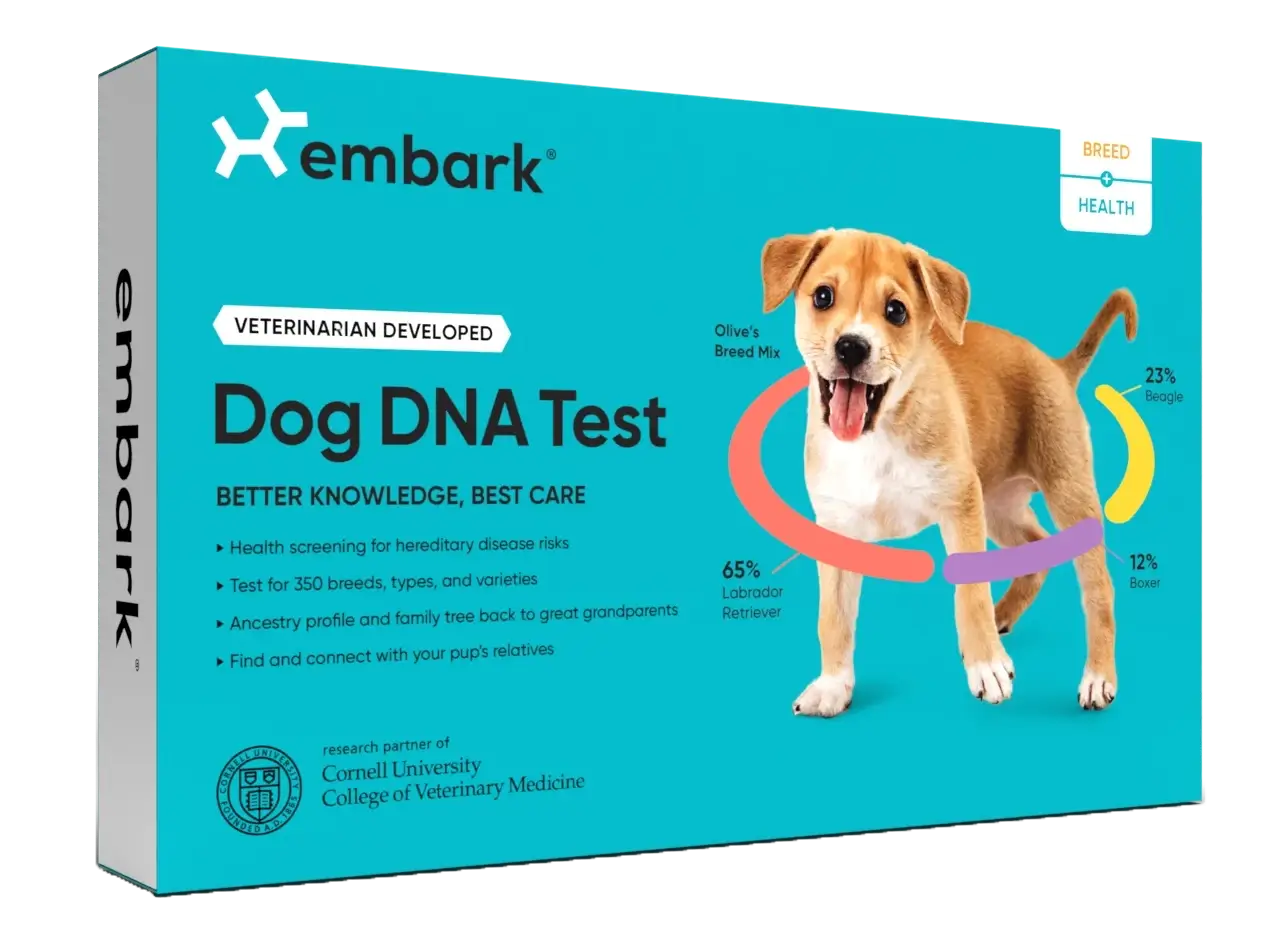 What You Should Know About Embark Dog DNA Test Kit